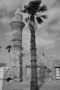 P1000560.png
